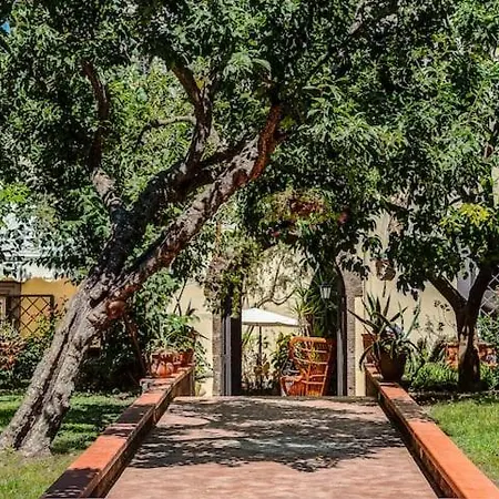 Lejlighed Comfort E Relax Salvatore *