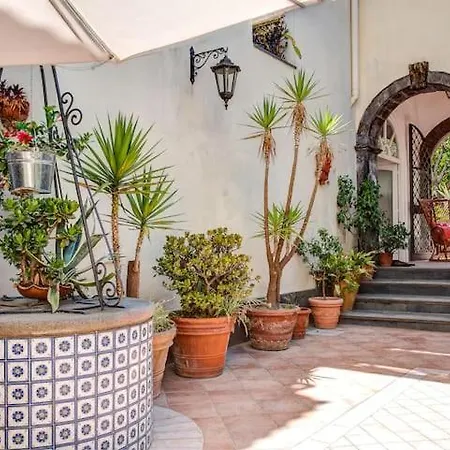 Comfort E Relax Salvatore Meta