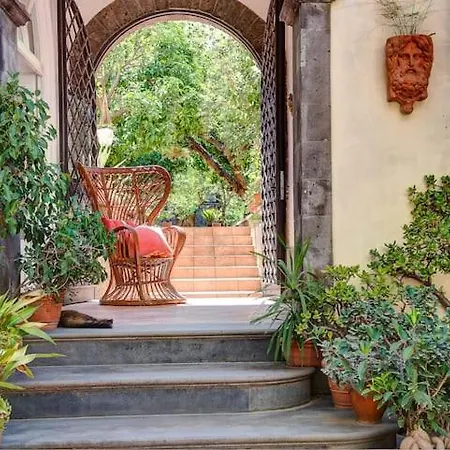 Comfort E Relax Salvatore * Meta